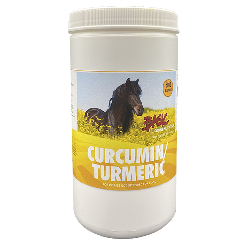 Curcumin / Turmeric