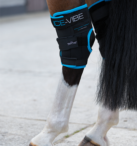 Ice Vibe Hock Boots Full Size