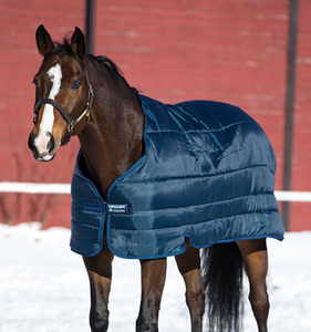 Horseware Liner 100g