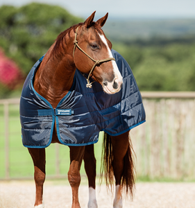 Horseware Liner 300g